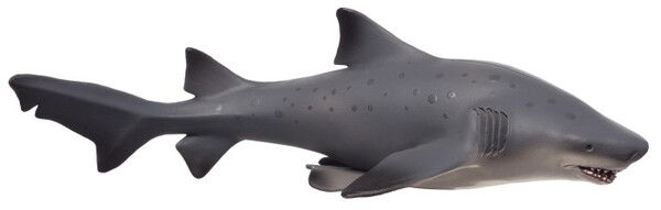 Konik Обыкновенная песчаная акула большая