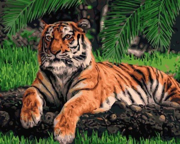 Lori Картина по номерам Грациозный тигр