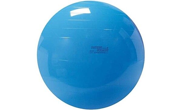 Gymnic Мяч Physio 95 см