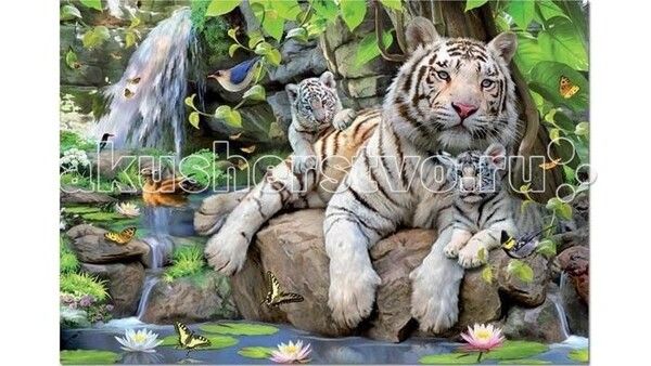 Educa Пазл Белые Бенгальские Тигры 1000 элементов