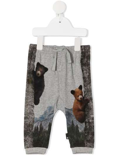 Molo спортивные брюки с принтом Teddy Bear