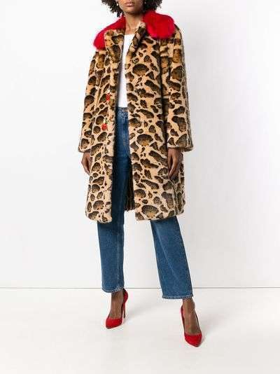 Dolce & Gabbana contrast-collar leopard-print coat