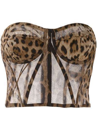 Dolce & Gabbana полупрозрачное бюстье с леопардовым узором