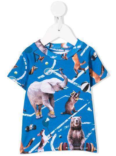 Molo футболка с принтом Athletic Animals