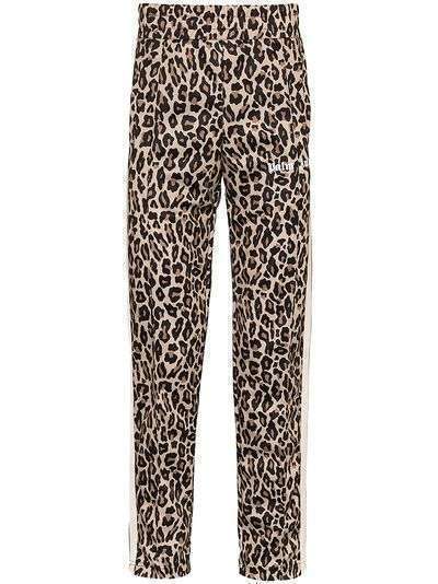 Palm Angels спортивные брюки с леопардовым принтом