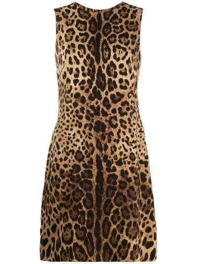 Dolce & Gabbana платье-трапеция с леопардовым принтом
