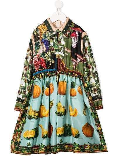 Dolce & Gabbana Kids платье с принтом и воротником