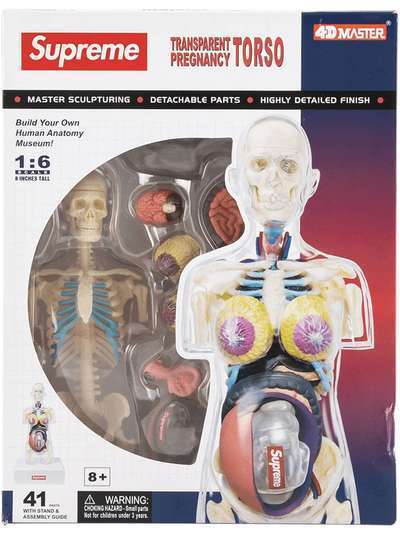 Supreme игрушка Female Anatomy Model FW18