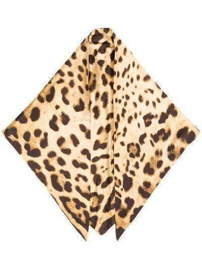 Dolce & Gabbana шейный платок с леопардовым принтом FS184AGDO65