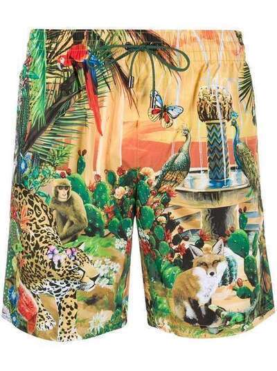 Dolce & Gabbana плавки-шорты Animal Kingdom M4A13THHMO2