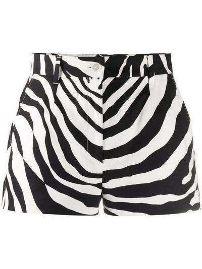 Dolce & Gabbana zebra print shorts FTBVJTFSFJ2