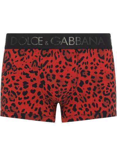 Dolce & Gabbana боксеры с леопардовым принтом и логотипом