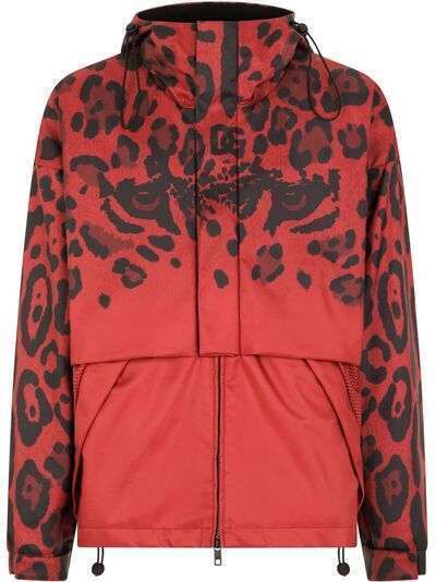 Dolce & Gabbana куртка с капюшоном и леопардовым принтом
