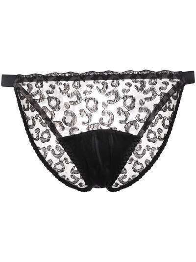 Fleur Of England Kittie semi-sheer brief