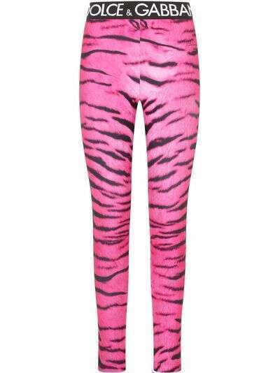 Dolce & Gabbana cropped zebra-pint leggings