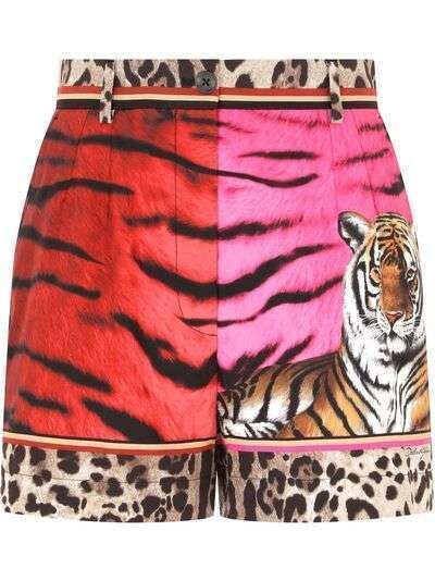 Dolce & Gabbana zebra-print tiger shorts