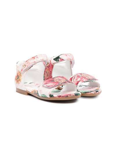 Dolce & Gabbana Kids сандалии на липучках с цветочным принтом