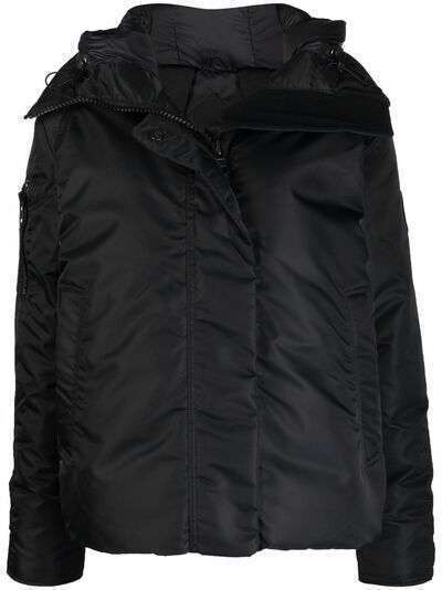 Canada Goose hooded padded jacket