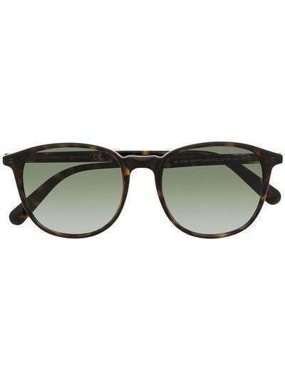 Moncler Eyewear солнцезащитные очки в оправе панто черепаховой расцветки