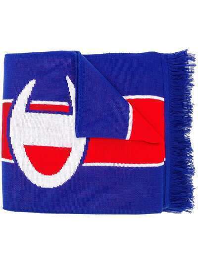 Champion шарф логотипом и бахромой