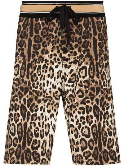 Dolce & Gabbana спортивные шорты с леопардовым принтом