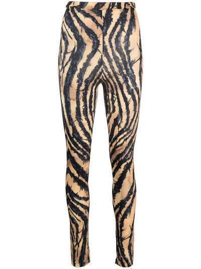 Roberto Cavalli zebra-print leggings