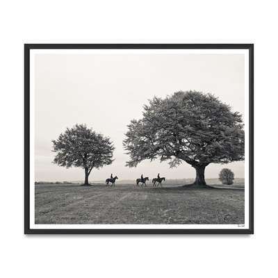 Horses Under Trees Постер Trowbridge