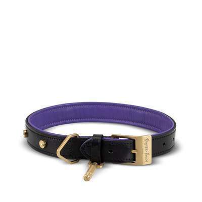 Black Purple Brass Ошейник для собак L Buster + Punch