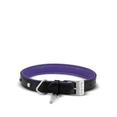 Black Purple Steel Ошейник для собак M Buster + Punch