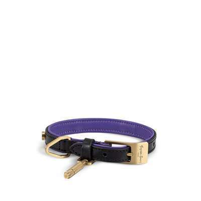 Black Purple Brass Ошейник для собак S Buster + Punch