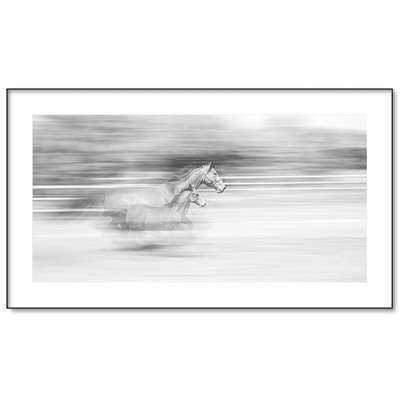 Mare Foal Race Картина 230 х 130 см Daniel Van Tongerloo