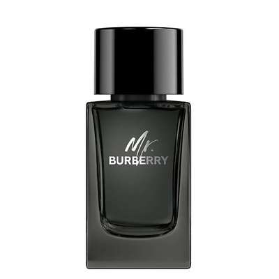 BURBERRY Mr. Burberry Eau de Parfum 100