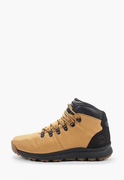 Ботинки трекинговые Timberland