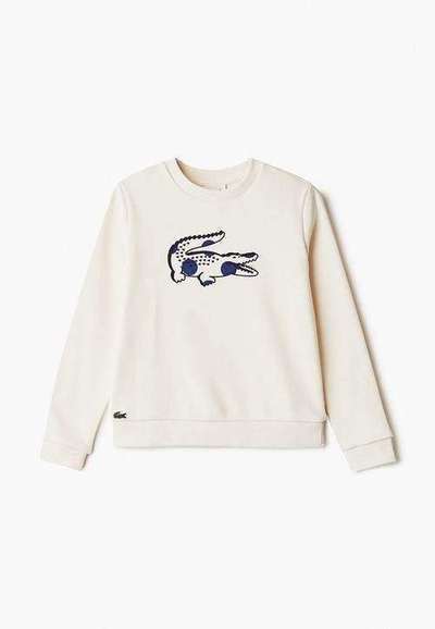 Свитшот Lacoste