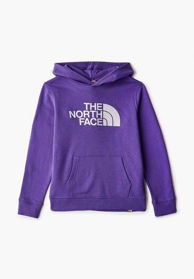 Худи The North Face