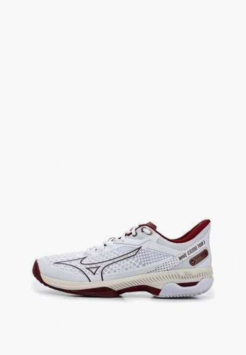 Кроссовки Mizuno